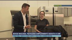 Bovisio Masciago, pasticceria completamente dedicata ai cani