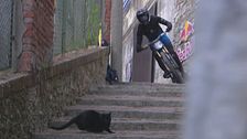 Red Bull Cerro Abajo: gatto nero taglia la strada, telecronista terrorizzato