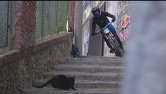Red Bull Cerro Abajo: gatto nero taglia la strada, telecronista terrorizzato