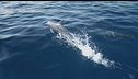 Ep. 4 - Coste