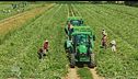 Francescon: lavorare con fiducia