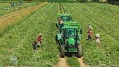 Francescon: lavorare con fiducia