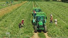 Francescon: lavorare con fiducia