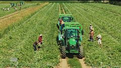 Francescon: lavorare con fiducia