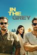 Trailer - In the grey