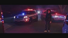 Trailer - Pet detectives - squadra salvacuccioli