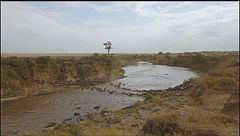 Ep. 1 - Tanzania