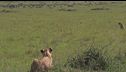 Ep. 2 - Kenya