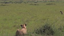 Ep. 2 - Kenya