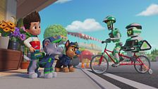 Search & rescue: i cuccioli salvano la gara ciclistica