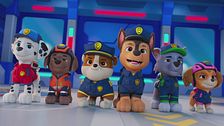 Search & rescue: i cuccioli salvano la fidanzata /search & rescue: il mistero dei gattini spariti