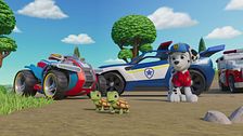 Search & rescue: i cuccioli aiutano le galline / Search & Rescue: i cuccioli salvano Ryder