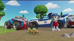 Search & rescue: i cuccioli aiutano le galline / Search & Rescue: i cuccioli salvano Ryder