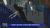 Lazio, Gattuso oltre dubbi e pronostici