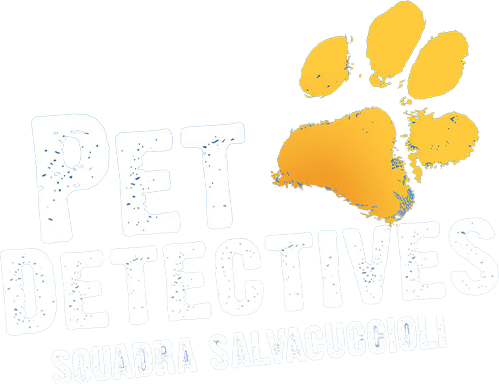 Pet detectives - Squadra salvacuccioli - Film Mediaset Infinity