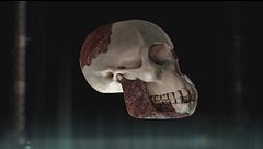 Ep. 9 - Il falso, la spia e il cervello a vapore