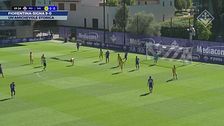 Fiorentina-Signa 9-0