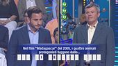 Polvere di Stelle: Simone vs Paolo