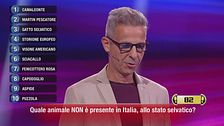 Le 10 botole di Gabriele