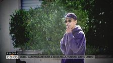 Quelli da remigrare: il tunisino che terrorizza le Marche