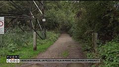 Nei boschi di Varese dove comandano i clan degli immigrati
