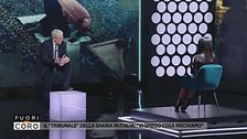 Il "tribunale" della Sharia in Italia: "Vi spiego cosa rischiamo"