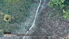 I boschi della Toscana, Italia in mano ai clan di immigrati