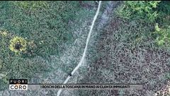 I boschi della Toscana, Italia in mano ai clan di immigrati