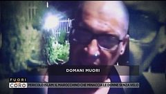 Pericolo Islam: il marocchino che minaccia le donne senza velo