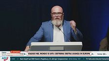 Viaggio nel mondo di AFD: l'estrema destra avanza in Europa
