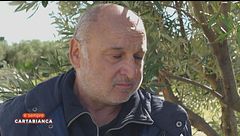 Caro carburanti: la rabbia degli agricoltori
