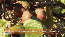 Dalla terra alla tavola: volano i prezzi di frutta e verdura