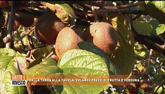 Dalla terra alla tavola: volano i prezzi di frutta e verdura