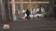 Allerta violenza e maranza: ecco perchè rubano e rapinano