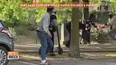 Baby gang fuori controllo, caos e violenza a Vicenza