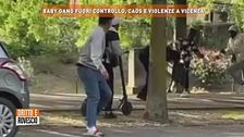 Baby gang fuori controllo, caos e violenza a Vicenza
