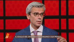 Garlasco: i quantitativi di dna