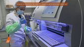 Polizia scientifica: "se DNA è completo non servono repliche"