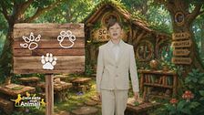 Nel bosco con Leo