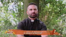 Il corvo: un messaggio di amore e attenzione