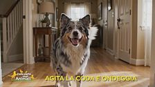 Impariamo divertendoci