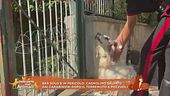 Gli amici Carabinieri