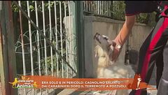 Gli amici Carabinieri