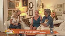 Brando, l'amico pelosi di Roberto Alessi e Betta Guerrieri