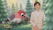 Nel bosco con Leo