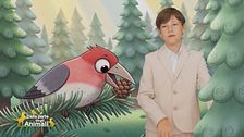 Nel bosco con Leo