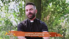 La giraffa, un animale che sa guardare oltre