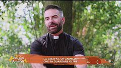 La giraffa, un animale che sa guardare oltre