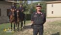 Alla scoperta del Centro di selezione equestre del Reparto Carabinieri Biodiversità di Follonica