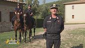 Alla scoperta del Centro di selezione equestre del Reparto Carabinieri Biodiversità di Follonica